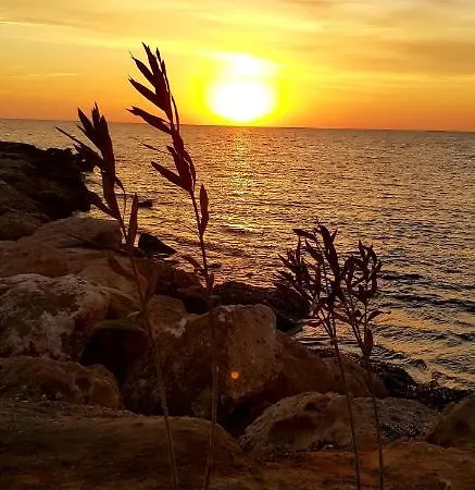 Penny's Kato Apartment